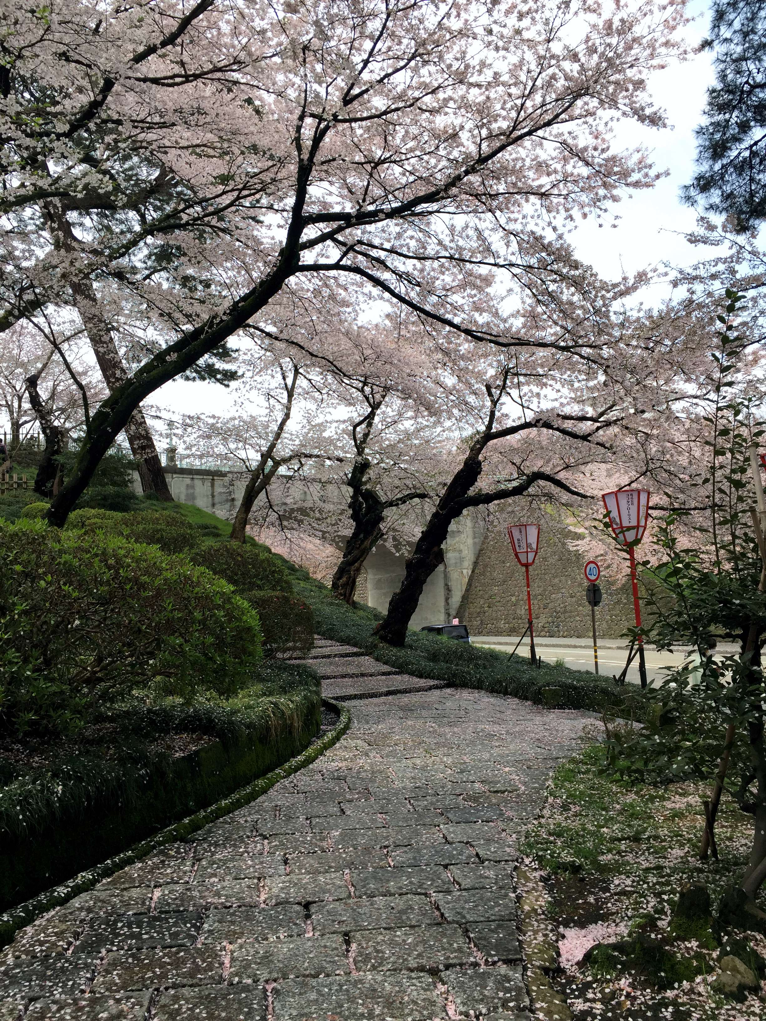 金澤城兼六園 21 ネコやけい