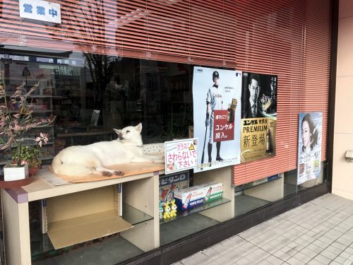 Day 6 漫遊閒逛湯布院温泉 ネコやけい